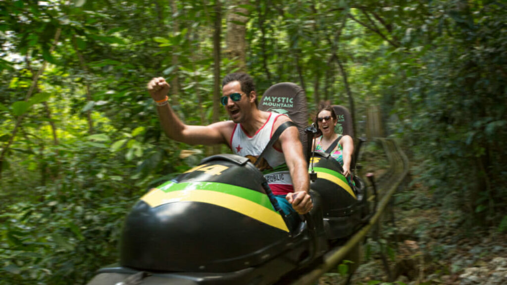 Top Marine Adventures to Try in Jamaica