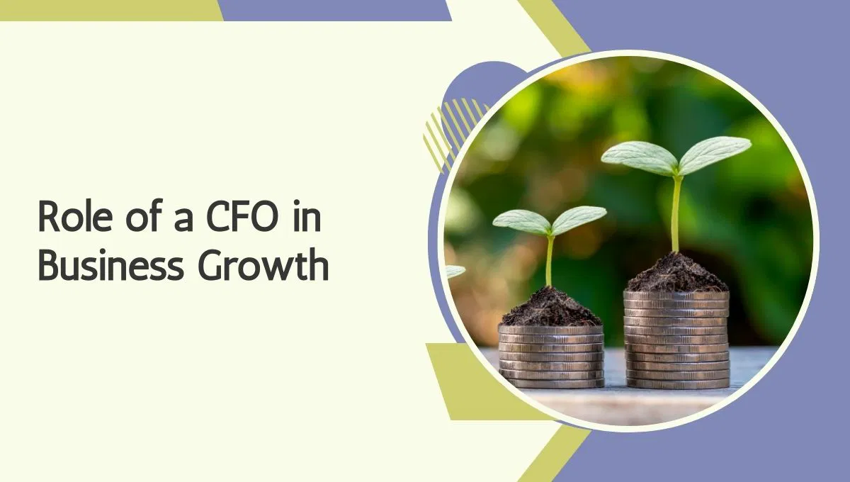 How a Part-Time CFO Can Transform Your Business Growth - TegraRcmGUI